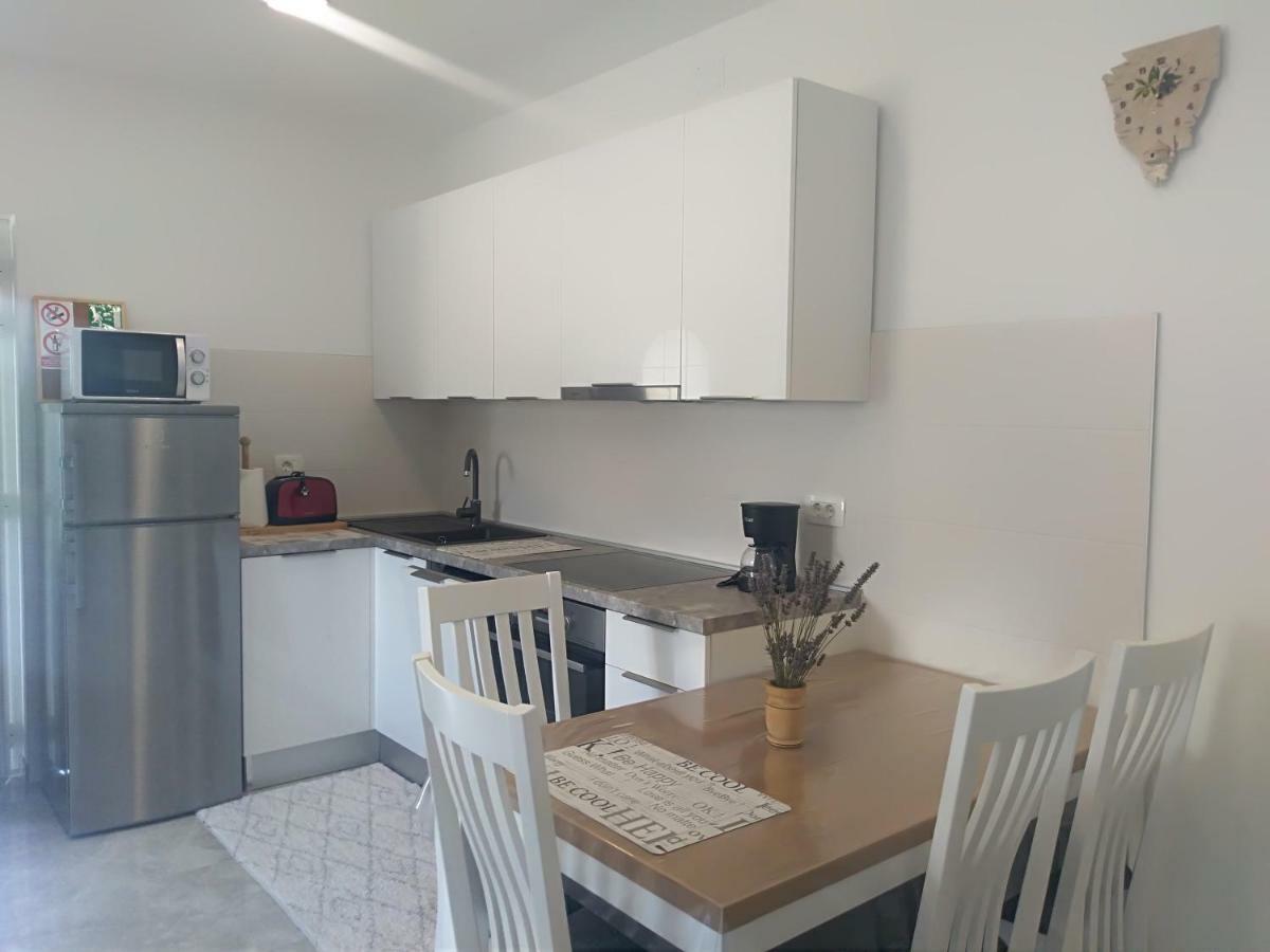 Apartment Ivana Novigrad Istria Eksteriør bilde