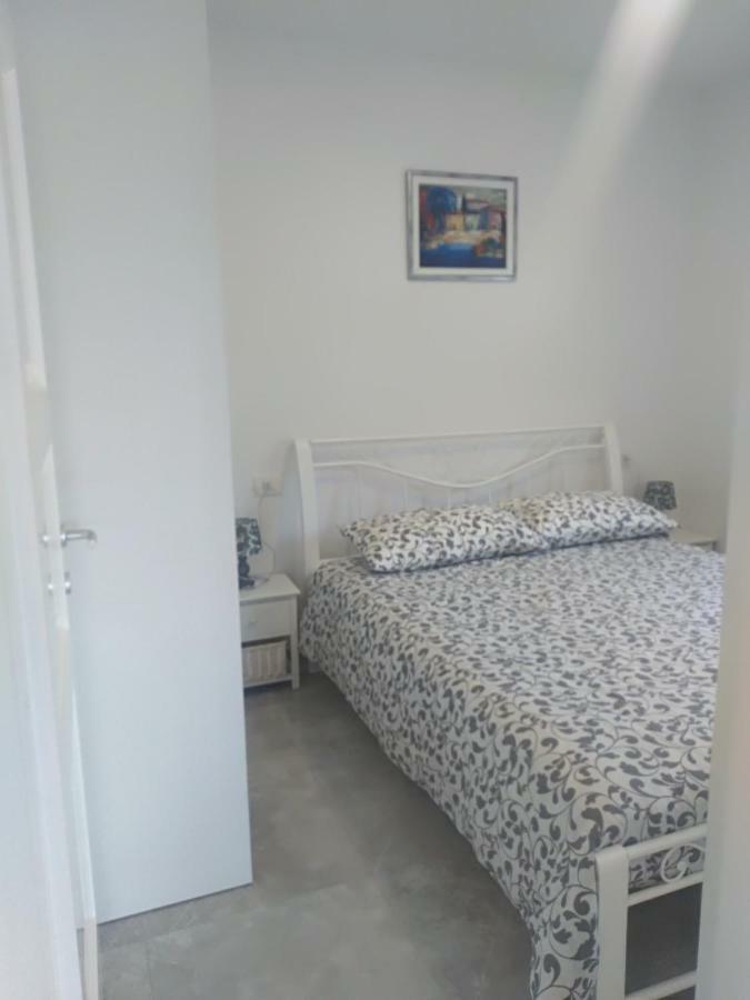 Apartment Ivana Novigrad Istria Eksteriør bilde