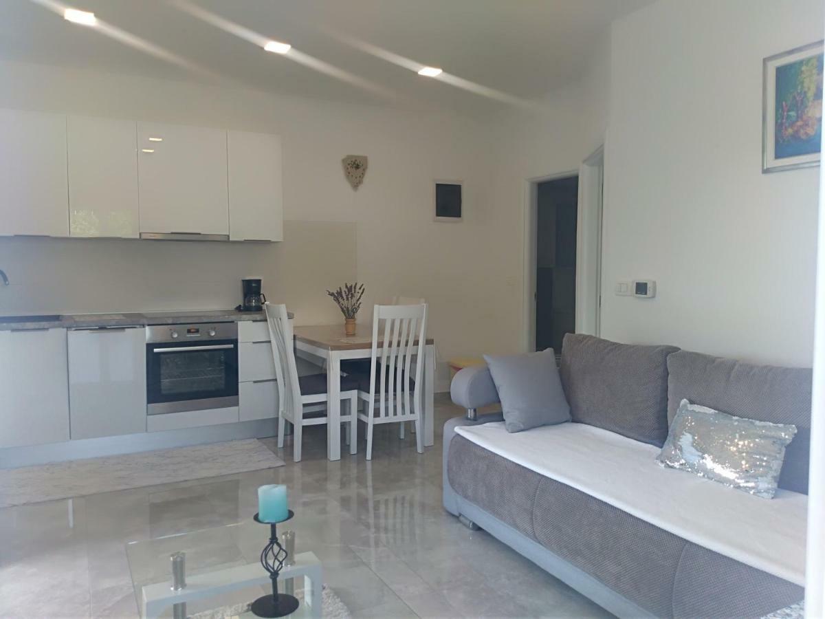 Apartment Ivana Novigrad Istria Eksteriør bilde