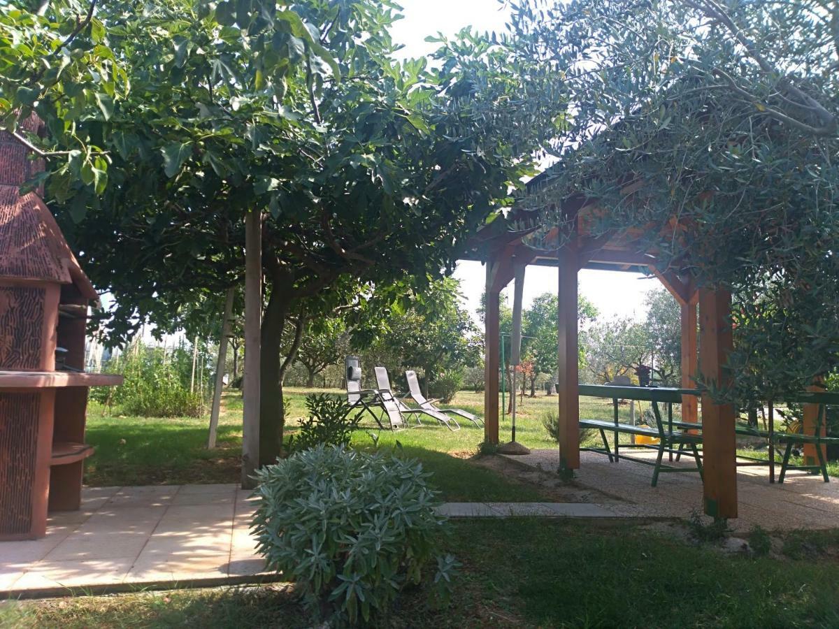 Apartment Ivana Novigrad Istria Eksteriør bilde
