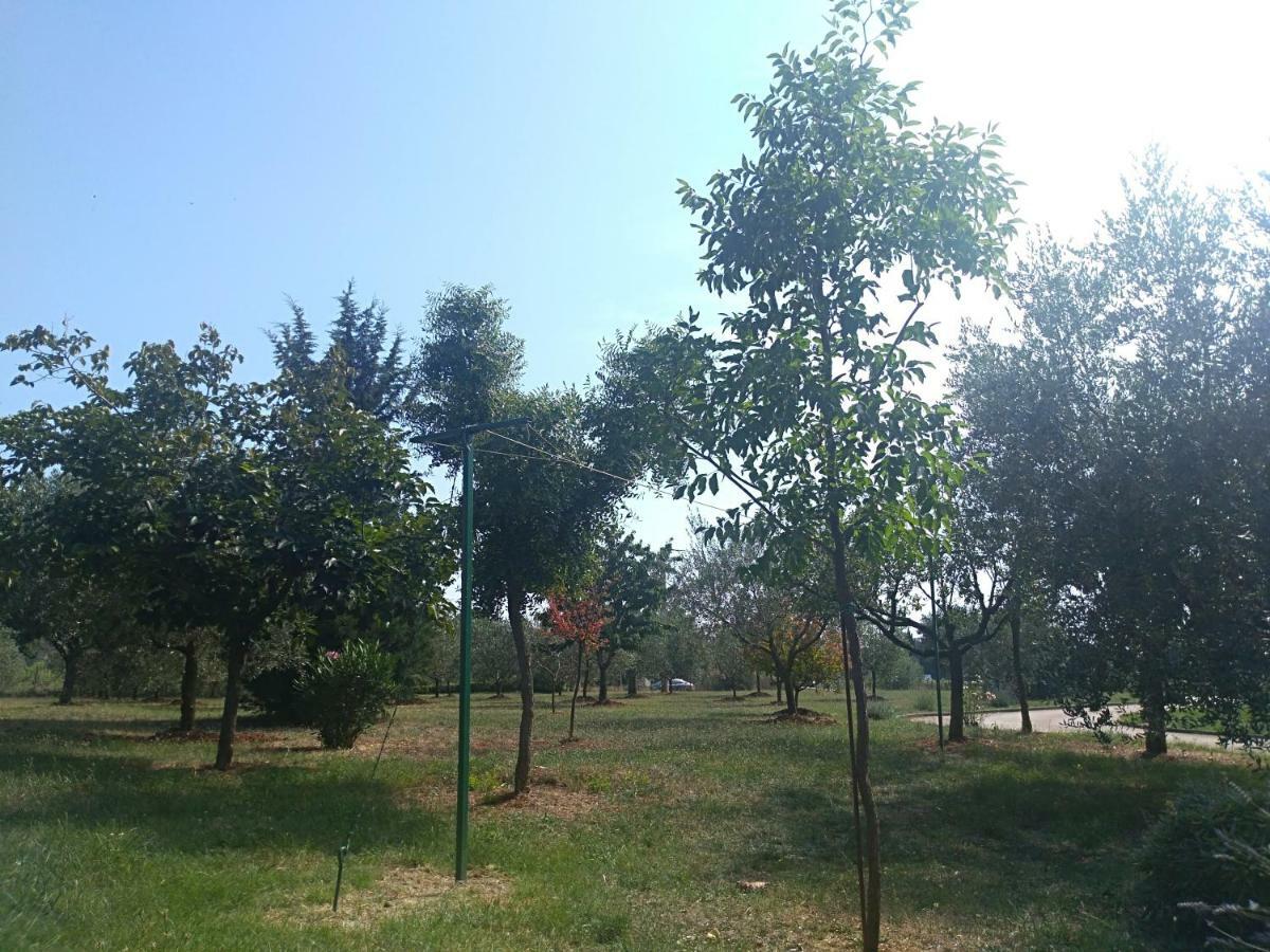 Apartment Ivana Novigrad Istria Eksteriør bilde